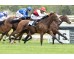 Carrera: P.G.P Howden Monta: V.Janacek Cuadra: C.Mare Nostrum